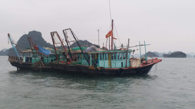 Quảng Ninh: Tạm giữ 02 tàu cá tàng trữ số lượng lớn ngư cụ đánh bắt cá trái phép