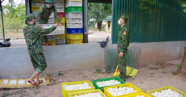Quảng Ninh: Lực lượng Biên phòng liên tiếp bắt giữ số lượng lớn trứng và gia cầm từ Trung Quốc vào Việt Nam