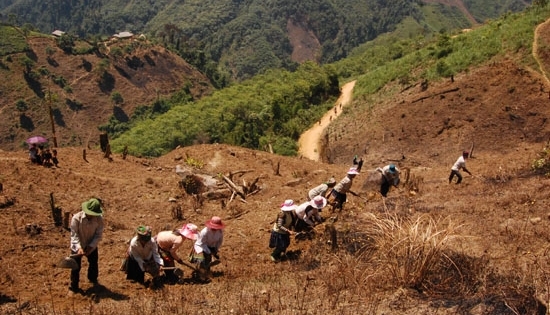 Ninh Bình: Tăng cường sự lãnh đạo của Đảng đối với công tác giảm nghèo bền vững đến năm 2030