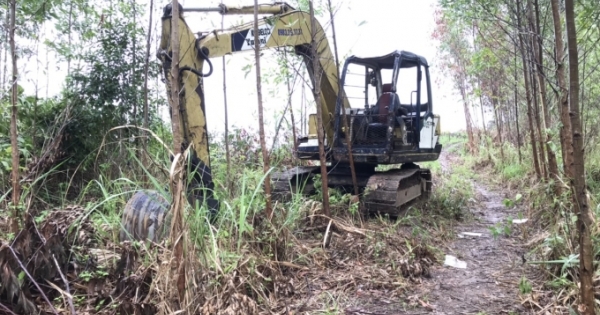 Cần sớm xử lý các đối tượng ngang nhiên đưa máy múc đào 18 cây Bằng Lăng ở Đắk Lắk