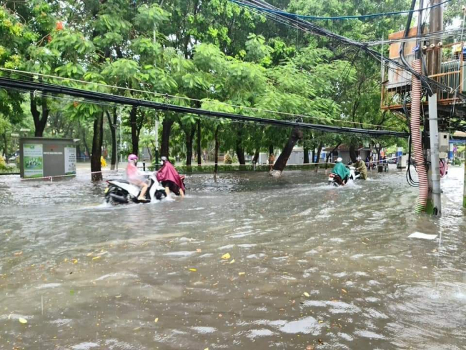 Dải vườn hoa trung tâm TP “hóa sông” sau trận mưa lớn.