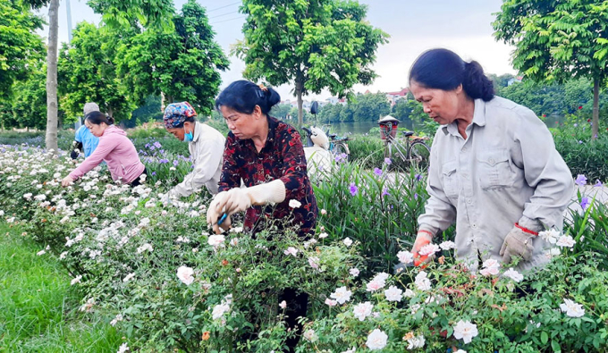 Phụ nữ huyện Thanh Trì chung tay thực hiện công trình tuyến đường hoa..