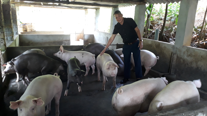 3 khu chuồng trại chăn nuôi gần 100 con lợn của hộ ông Bùi Duy Trì (thôn Nông Trường) luôn được thau rửa sạch sẽ, đảm bảo vệ sinh môi trường.