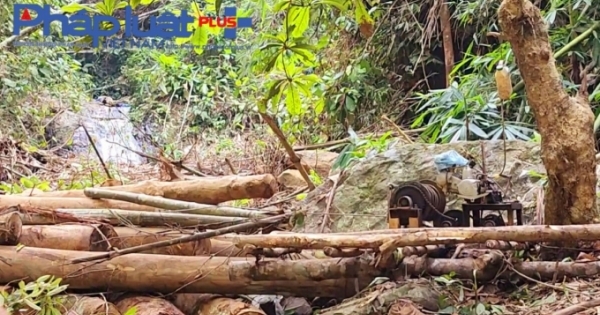 Yên Bái: Xót xa rừng đầu nguồn bị tàn phá không thương tiếc