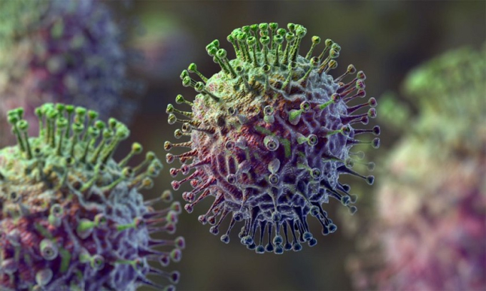 Virus cúm A/H5N1 ở người hiện nay chính là từ virus cúm A/H5N1 ở gia cầm lây lan.