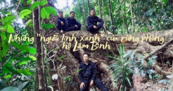 Những "người lính xanh" ngày, đêm bảo vệ rừng phòng hộ Lâm Bình