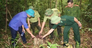 Thanh Hóa: Huyện Quan Sơn xử phạt 21 vụ vi phạm về rừng