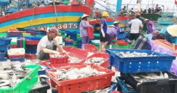 Nghệ An: Thu 4 nghìn tỷ đồng từ đánh bắt thủy sản 10 tháng đầu năm