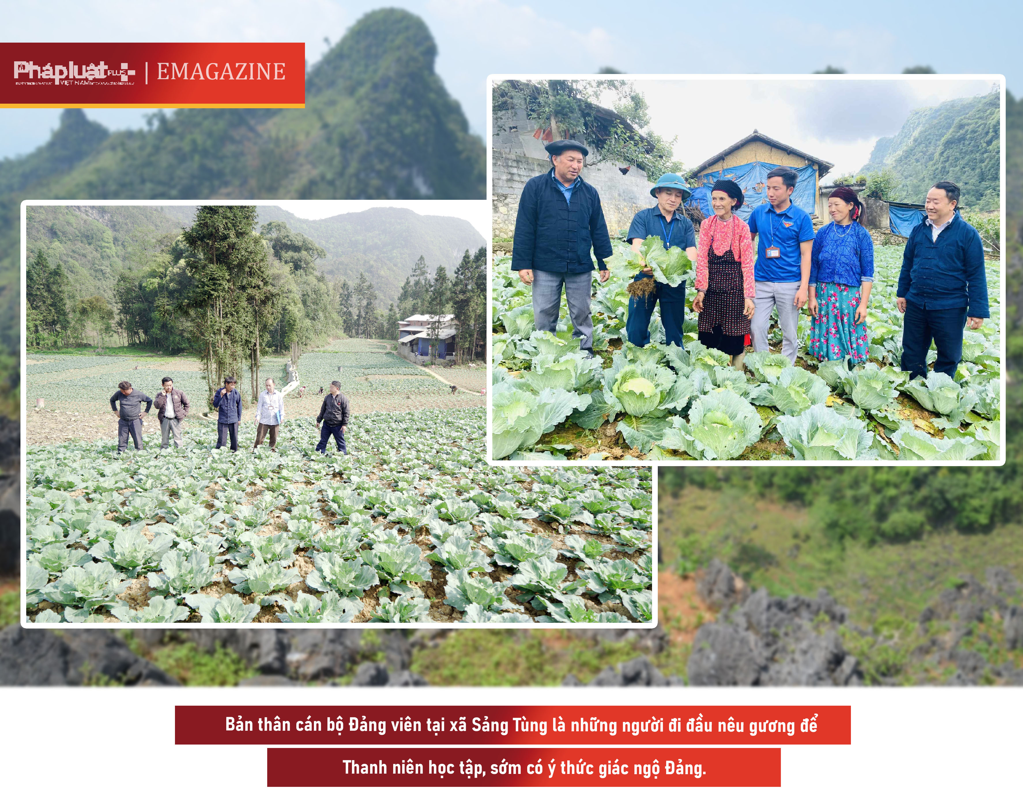 Lãnh đạo xã Sảng Tủng kiểm tra khu vực trồng cải bắp ở thôn thôn Séo Lủng B.