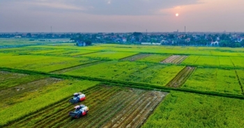 Hải Phòng: Xúc tiến đầu tư vào lĩnh vực nông nghiệp, nông thôn