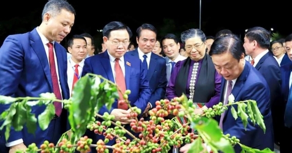 Chủ tịch Quốc hội Vương Đình Huệ dự khai mạc Lễ hội cà phê tại Sơn La