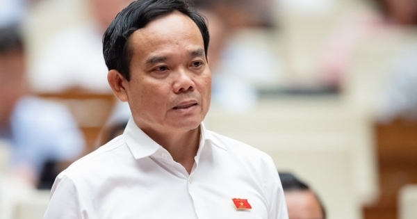 Phó Thủ tướng Trần Lưu Quang làm Trưởng Ban Chỉ đạo thực hiện sắp xếp đơn vị hành chính cấp huyện, cấp xã