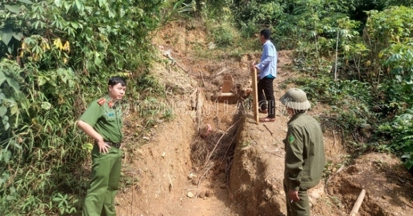 Bắt giữ đối tượng thuê người làm "vàng tặc" ở huyện Mường Tè