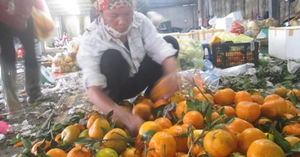 Hà Nội: Chợ hoa quả đồng giá chỉ với  8.000đ/kg