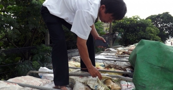 Nghệ An: Tạm giữ xe tải chở 10 tấn xương động vật thối