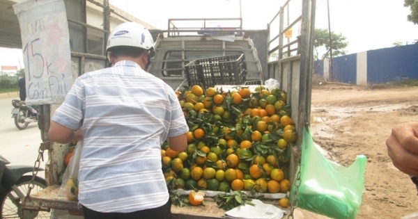 Hà Nội: Choáng với giá hoa quả "đổ đống" trên vỉa hè