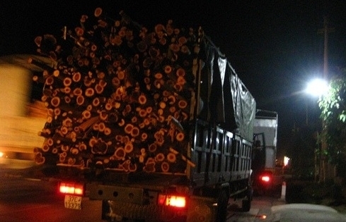 Thanh Hóa: Bắt đoàn xe chở quá tải