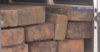 Ngụy trang là xe tang để chở hàng chục phách gỗ lậu