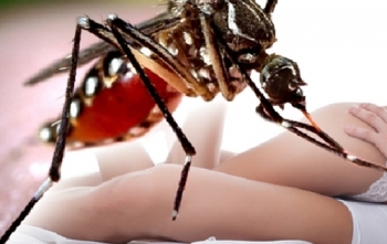 Phát hiện ca nhiễm virus Zika do quan hệ tình dục không an toàn