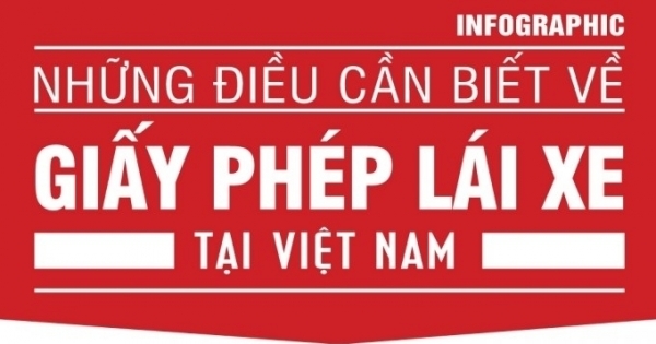 Danh mục các loại bằng lái xe tại Việt Nam