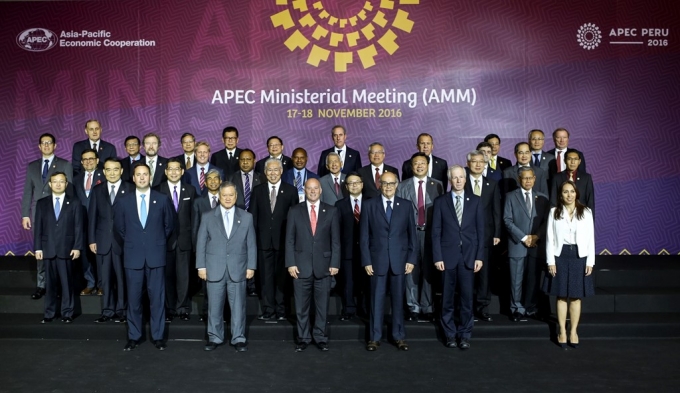 Trong 18 năm qua, kể từ khi tham gia APEC năm 1998, Việt Nam t&iacute;ch cực tham gia, đ&oacute;ng g&oacute;p v&agrave; đảm nhiệm nhiều vị tr&iacute; quan trọng trong c&aacute;c cơ chế hợp t&aacute;c của APEC. &nbsp;Năm 2014, Việt Nam đăng cai tổ chức th&agrave;nh c&ocirc;ng Hội nghị Bộ trưởng APEC lần thứ s&aacute;u về Ph&aacute;t triển nguồn nh&acirc;n lực tại H&agrave; Nội. &nbsp;