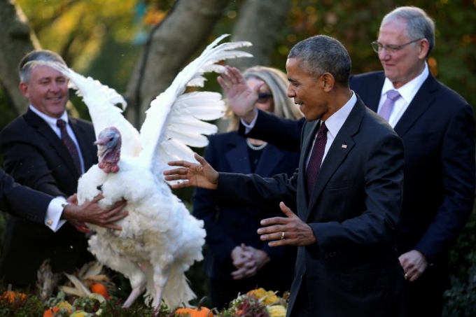 Tổng thống Obama ch&uacute;c mừng Tot kh&ocirc;ng phải trở th&agrave;nh bữa ăn tối trong ng&agrave;y lễ Tạ ơn. (Ảnh: Reuters)