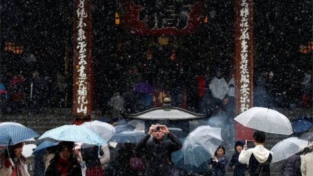 Du kh&aacute;ch ghi lại những h&igrave;nh ảnh đẹp khi tuyết rơi sớm ở thủ đ&ocirc; Tokyo, Nhật Bản. (Ảnh: Reuters)