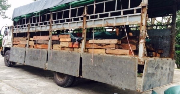 Thanh Hóa: CSGT bắt giữ 6,4 mét khối gỗ quý vận chuyển trái phép