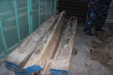 Những khối gỗ sau khi được lấy ng&agrave; voi.