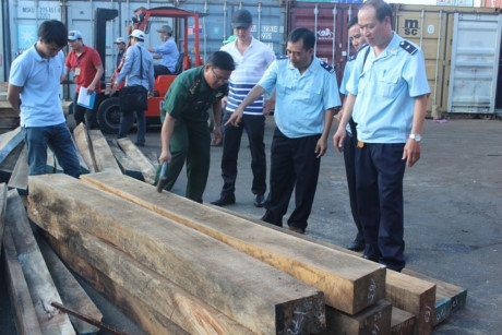 Cận cảnh hơn nửa tấn ngà voi bị bắt giữ cất giấu tinh vi trong các khối gỗ