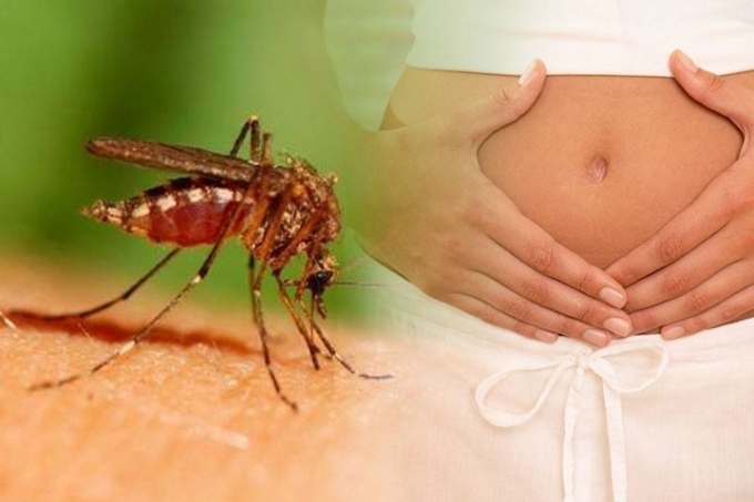 2 thai phụ nhiễm Zika đang được theo d&otilde;i đ&atilde; phải ngưng thai kỳ. Ảnh: minh họa