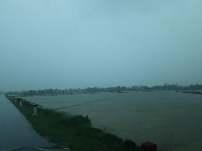Nước ngập nhiều tuyến đường tỉnh B&igrave;nh Định.