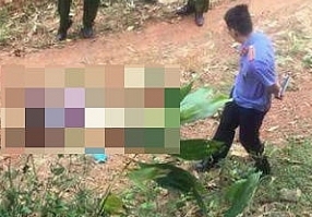 Thái Nguyên: Phát hiện thi thể phụ nữ nhiều vết đâm trong vườn cây