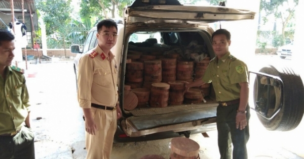 Bắt giữ xe tải chở hơn 500 chiếc thớt gỗ Nghiến không rõ nguồn gốc