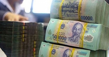 Lâm Đồng: Thu Ngân sách Nhà Nước đạt 83,1% dự toán trong 9 tháng đầu năm