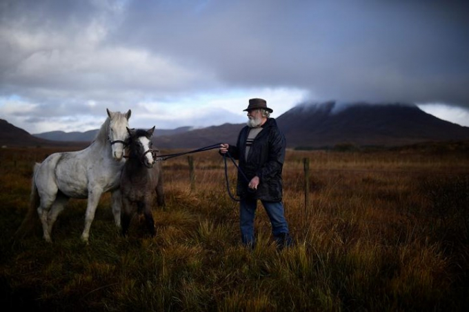 &Ocirc;ng Henry Judge mang hai ch&uacute; ngựa tới b&aacute;n tại Hội chợ h&agrave;ng năm Maam Cross thuộc v&ugrave;ng Connemara, Galway, Ireland.