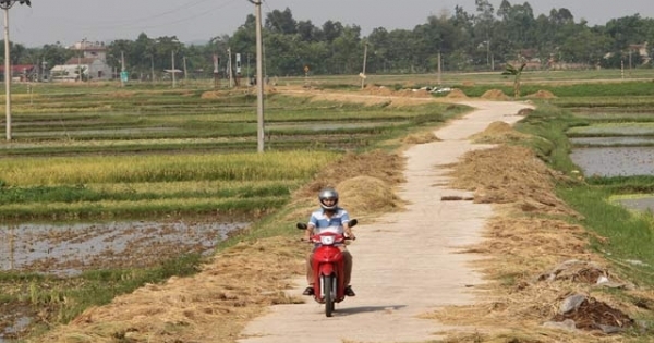 Huyện Việt Yên trở thành huyện nông thôn mới đầu tiên của tỉnh Bắc Giang
