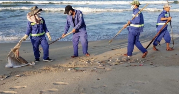 Đà Nẵng: Nghi người dân nổ mìn đánh cá khiến cá chết dọc bờ biển