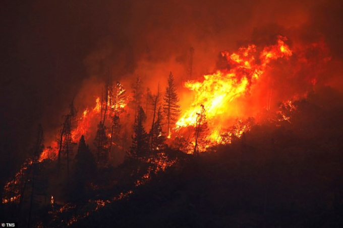 Thảm họa ch&aacute;y rừng&nbsp;&nbsp;bang California, Mỹ h&ocirc;m 11/11.&nbsp;Ảnh: TNS