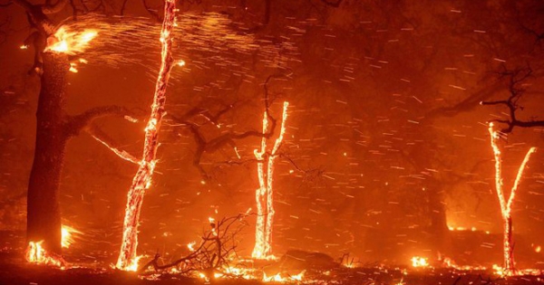 Cháy rừng ở California, ông Trump ban bố tình trạng thảm họa