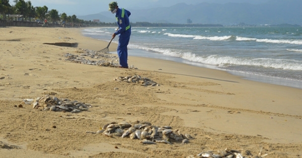 Nghệ An: Bàng hoàng phát hiện thi thể người phụ nữ chết bên bờ biển