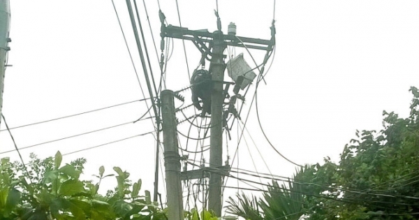 Phú Thọ: Trèo lên cột điện bắt ong, người đàn ông bị điện giật tử vong