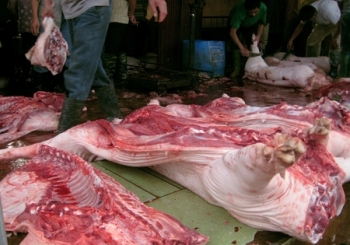 Hà Nội: Kiên quyết đấu tranh vận chuyển, kinh doanh lợn không rõ nguồn gốc