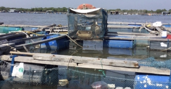 Vũng Tàu: Xử lý vi phạm sử dụng mặt nước nuôi trồng thủy sản trên sông