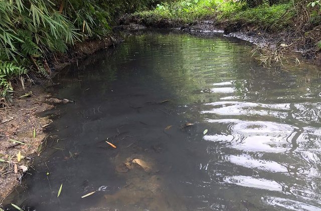 Sự cố tràn dầu thải: Công ty nước sạch Sông Đà xin lỗi, miễn phí 1 tháng tiền nước
