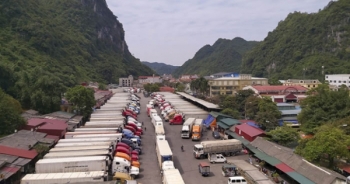 Lạng Sơn: Đình chỉ dự án Bến xe hàng hóa xuất nhập khẩu cửa khẩu Tân Thanh