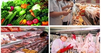 Triển khai kế hoạch đảm bảo an toàn thực phẩm dịp Tết Nguyên đán Canh Tý và Lễ hội Xuân 2020