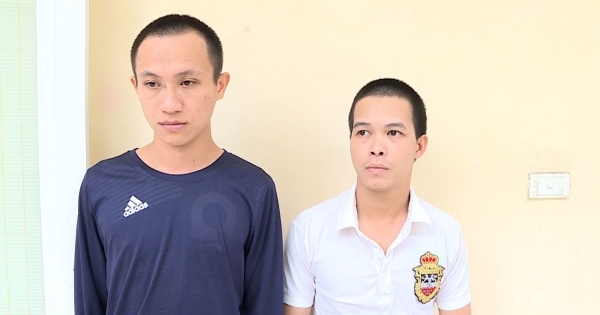 Bắt giữ 2 nam thanh niên trộm 13 chậu hoa lan trị giá khoảng 1,5 tỷ đồng ở Hưng Yên