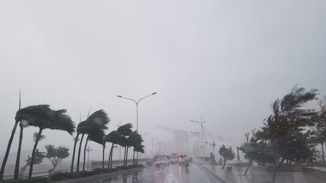 Đường phố Nha Trang đã gánh chịu những cơn gió mạnh, kèm mưa nặng hạt trong sáng 10.11. Ảnh: Thanh Niên.