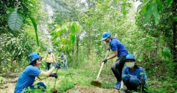 Mục tiêu 1 tỷ cây xanh